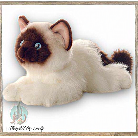 Aurora - Flopsie Bella Birman Cat plush blue‎ eyes stuff animal white brown - Picture 9 of 9
